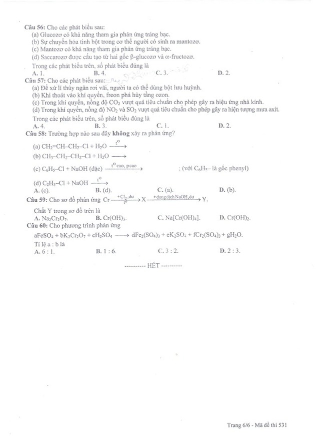 ec241ddbe9a237de6e46.jpg