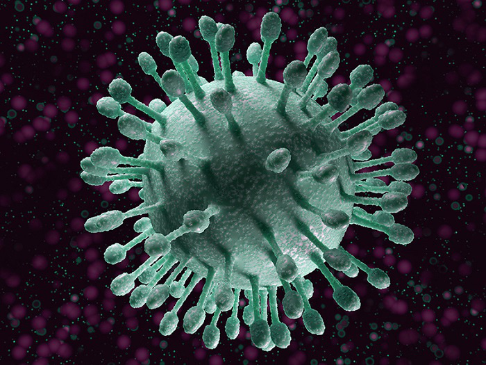 ec35e1263e2156cefda5.jpg