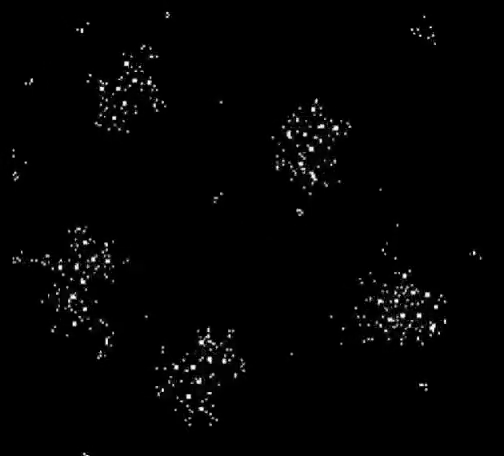 ec58fab8a995c512aa2d.png
