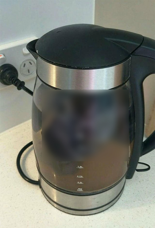 ec5b6e3c6ff83f898f9a.jpg