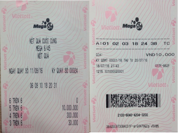 ec611efac55f23c32d46.jpg