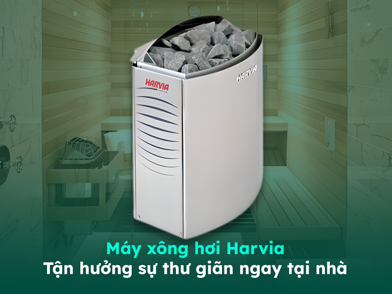 ec7f7e14cef520966f22.webp
