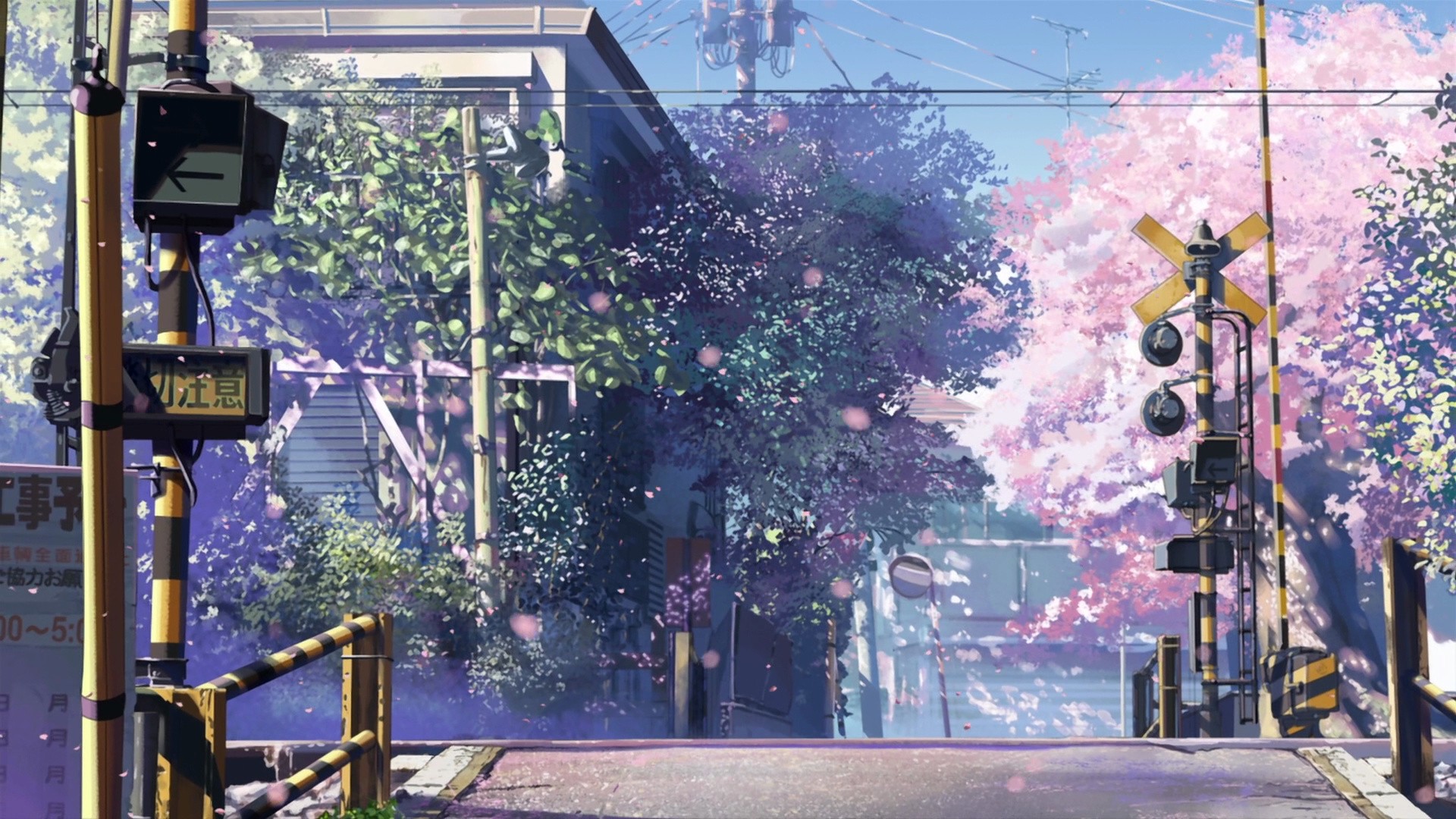 ec9ff117598624e64ab9.jpg