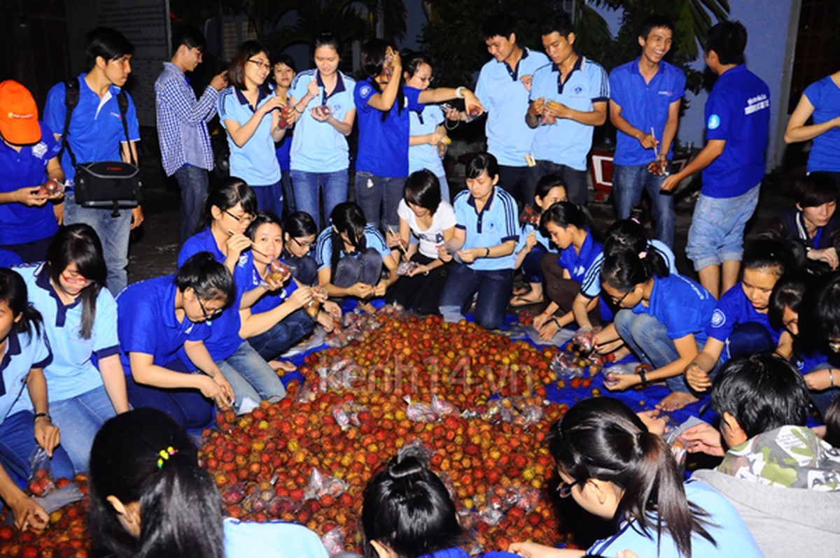 ecfdf8ba8b412645baf6.jpg