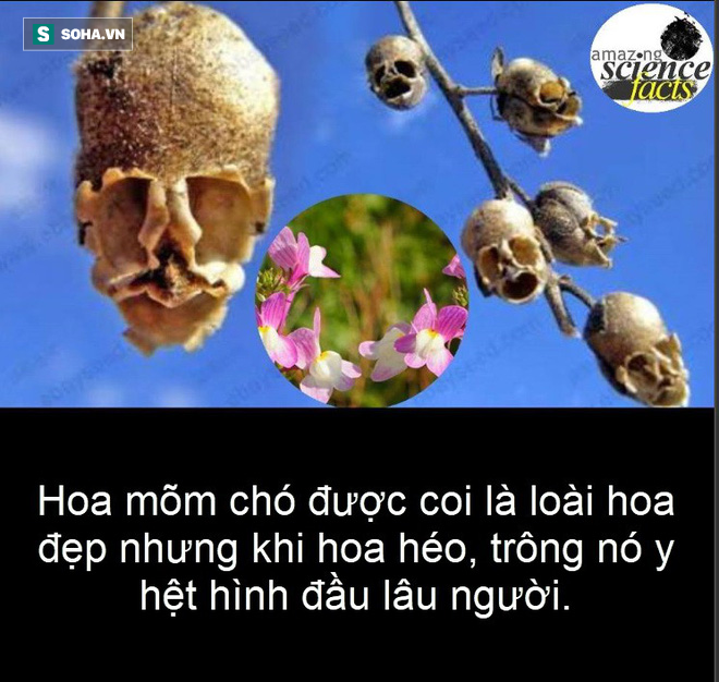 ed65c75b1ab26dcc9c6d.png