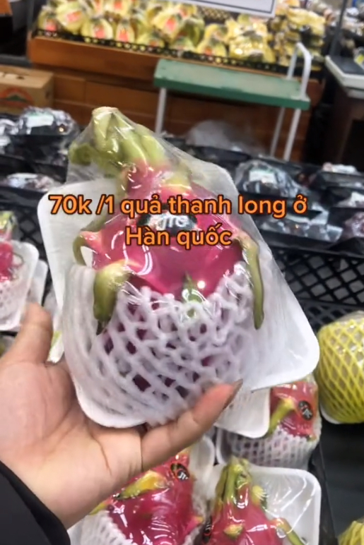 ed8a0eb4c8425c5987db.jpg