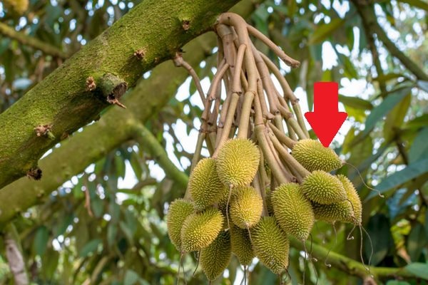 edada9d84087ad288448.jpg