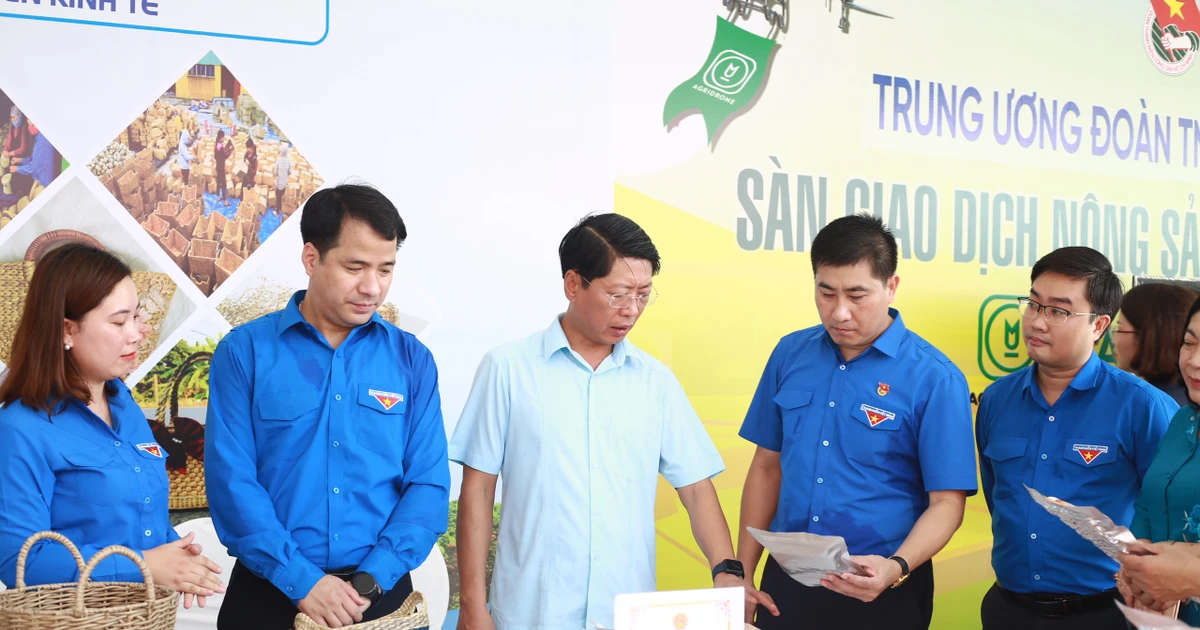 Gen Z Việt cùng nhau "phủ xanh" nông thôn, tổng giá trị hơn 2,2 tỷ đồng