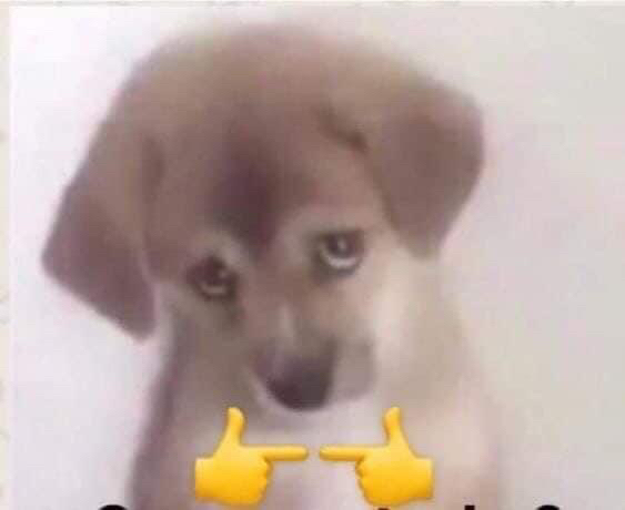 edb3e1e8eddf497027df.jpg