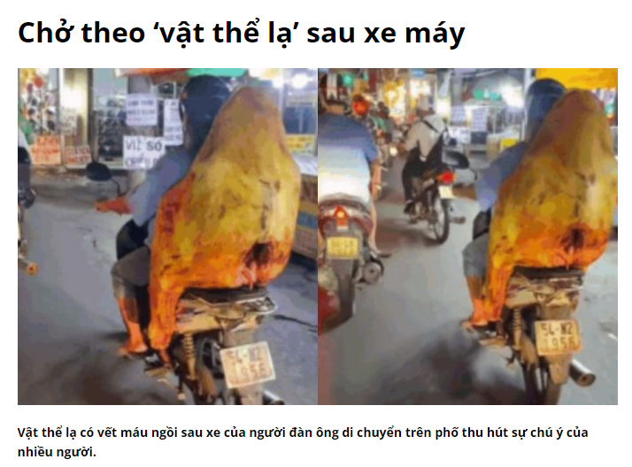 edf684259d4d759aac61.png
