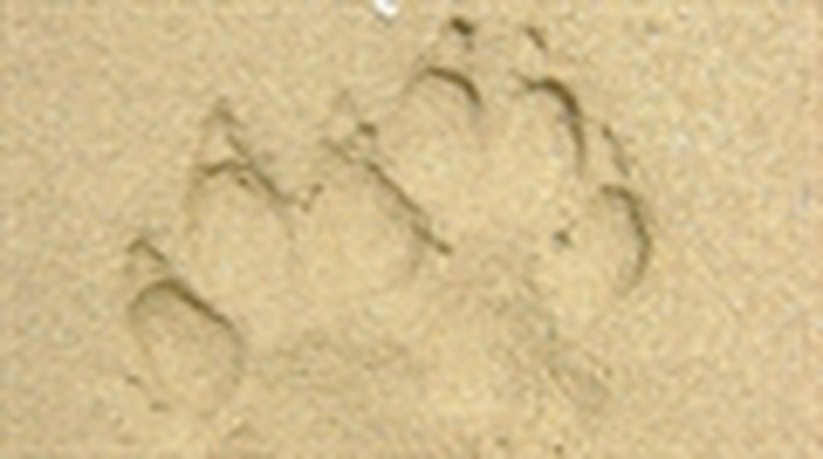 edf76bf77a04d6445dbe.jpg