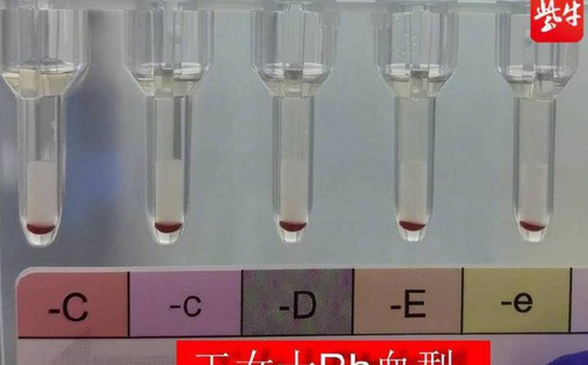 ee72e3539dddc3e34c44.jpg