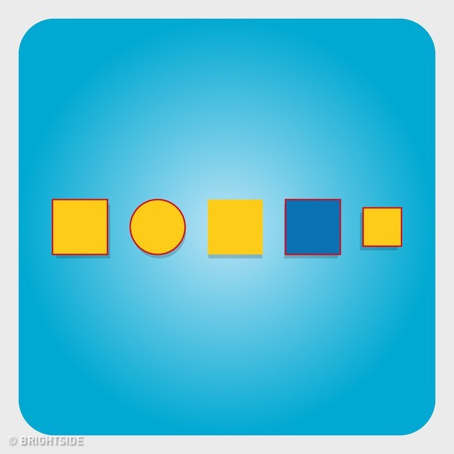 eede079f312af4e7e654.jpg