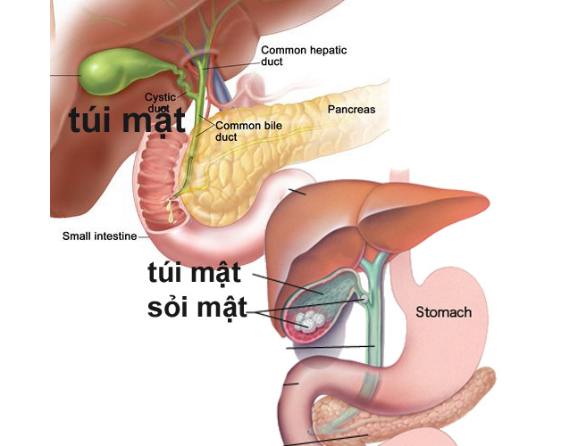 eee75c5b9dce3f136e39.jpg
