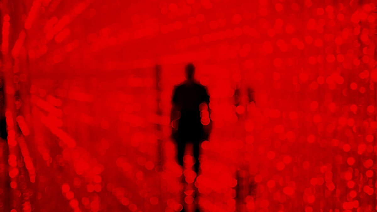ef168c18bdb1a717d62d.jpg