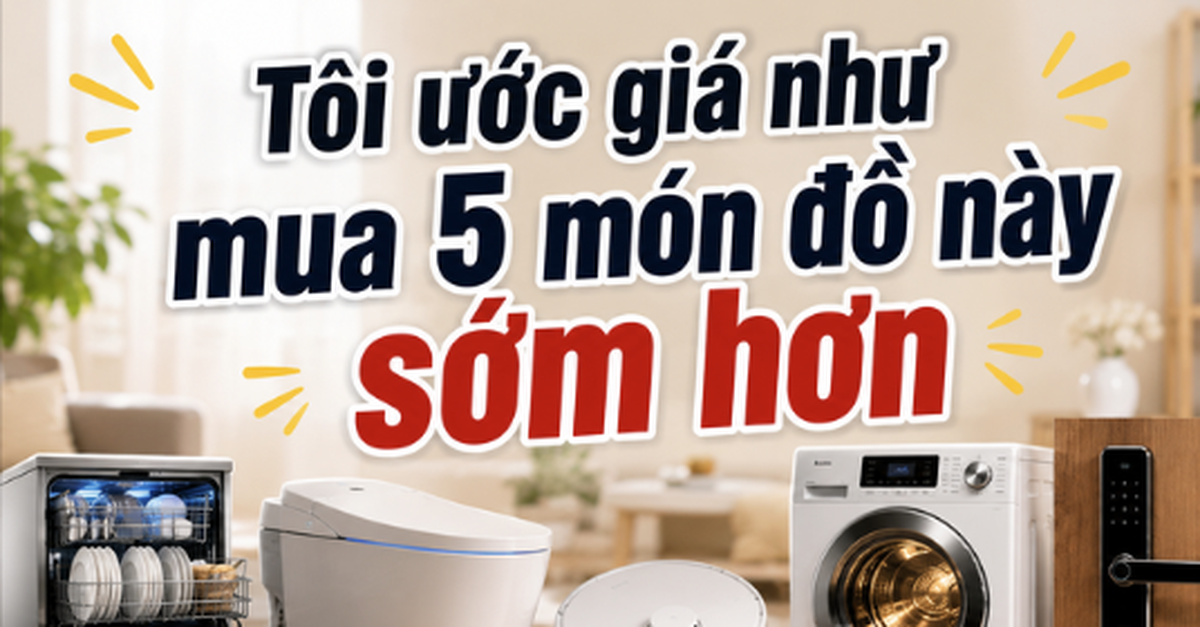 ef54641788e7f649a137.png