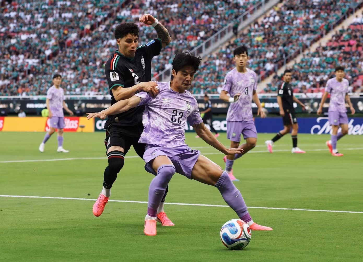 ef66418528cac6701659.jpg