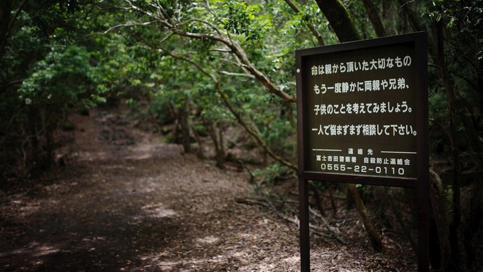 ef66dd133140b6fe13e5.jpg