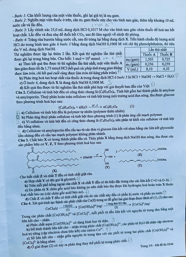 ef71e462ec32afaef3e2.jpg