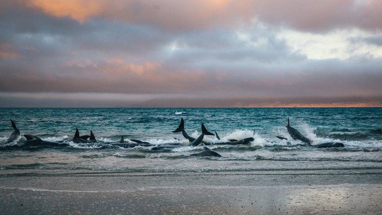 ef797f9babc11cb428ae.jpg