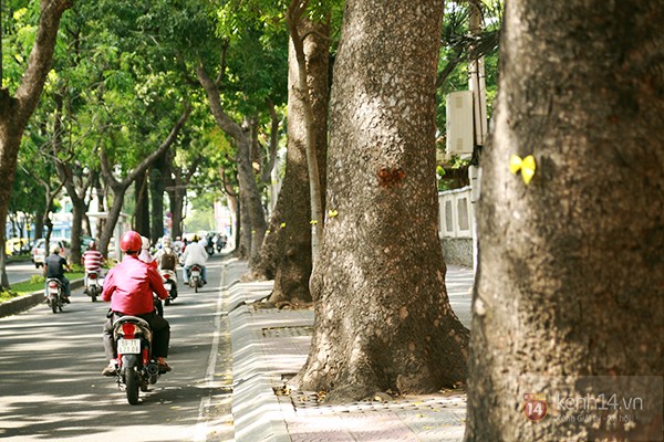 ef98605bff8afaec49f3.jpg