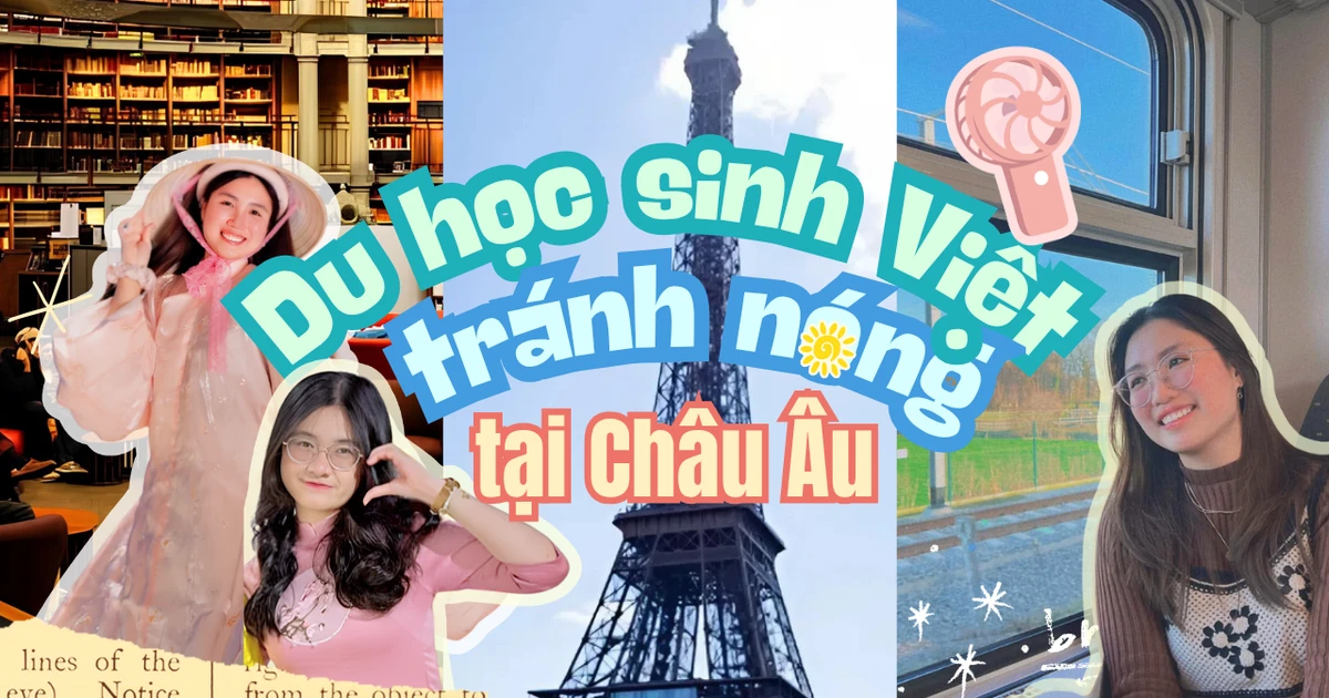 efbd2213b75e4dfd7111.webp