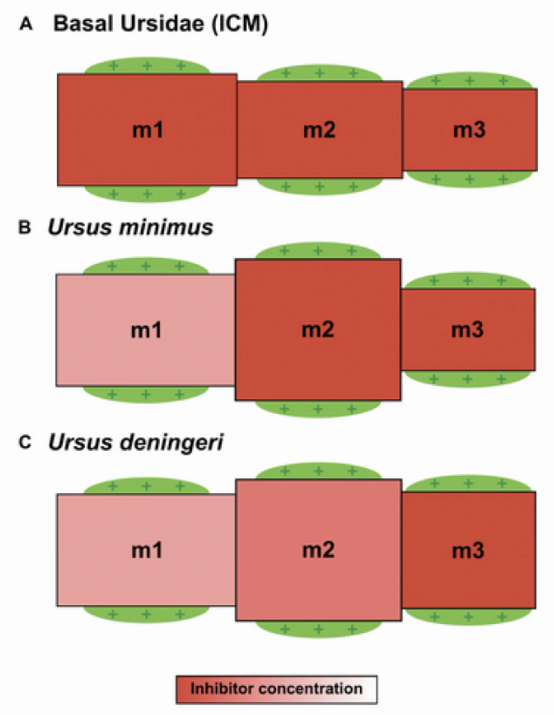 efea2155b1807bb0f797.png
