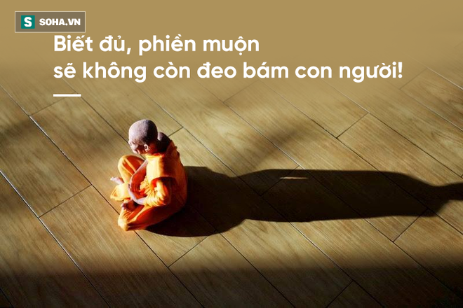 f00cda66d00a609dae5d.png