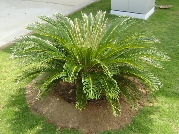 f00e5e8e881540bc9480.jpg