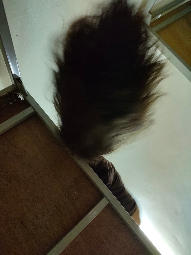 f012f26f32dc7c505903.jpg