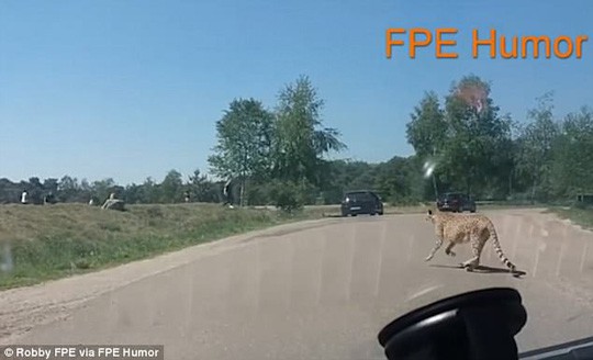 f0208e9fb50fc54586be.jpg