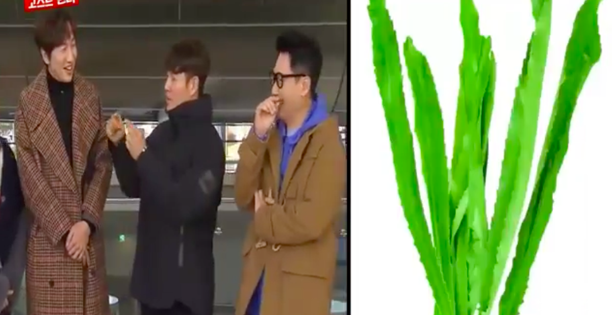 f031ab5b68d15e78e943.png