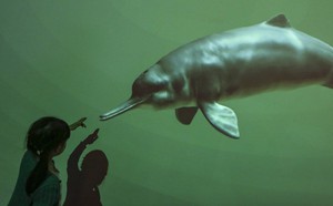 f06036efdeebc4e180e8.jpg