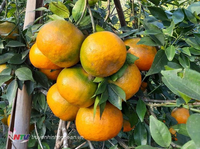 f071eb600ca034f493d6.jpg