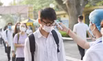 f08d602365dce646c3a4.jpg