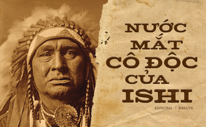 f09300d074eea223a8e6.png