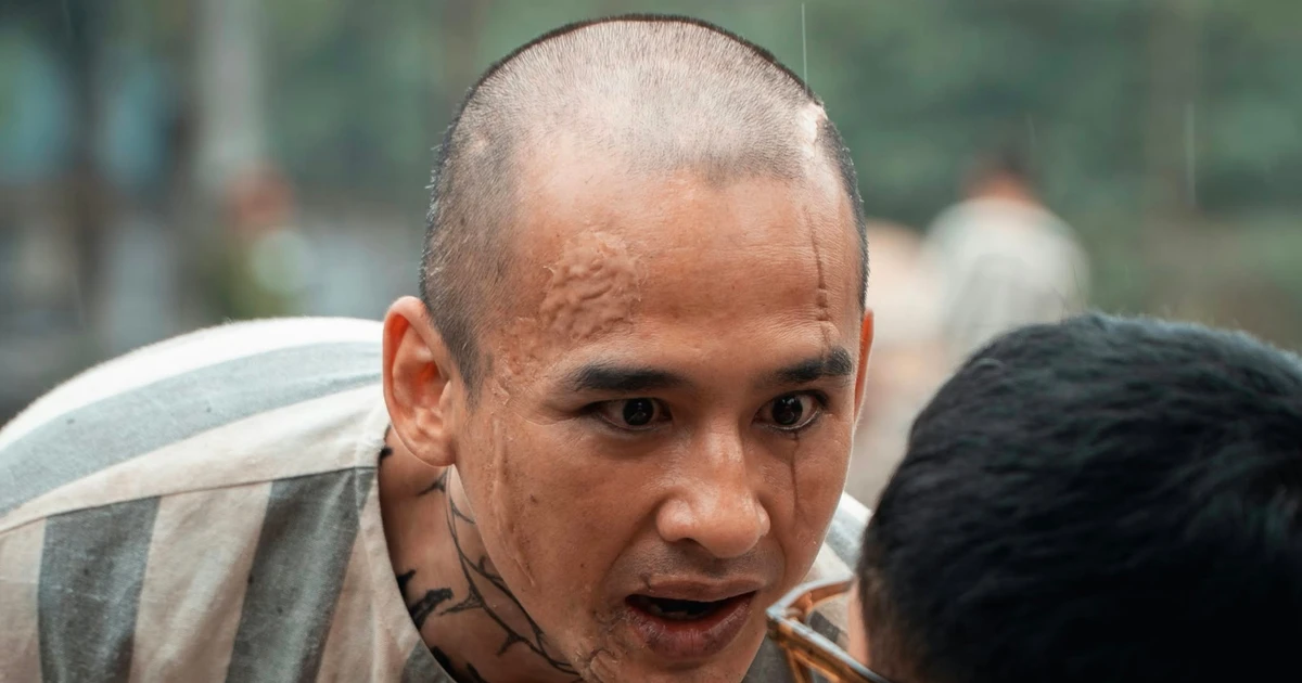 f0955ed21d91e873a23e.webp