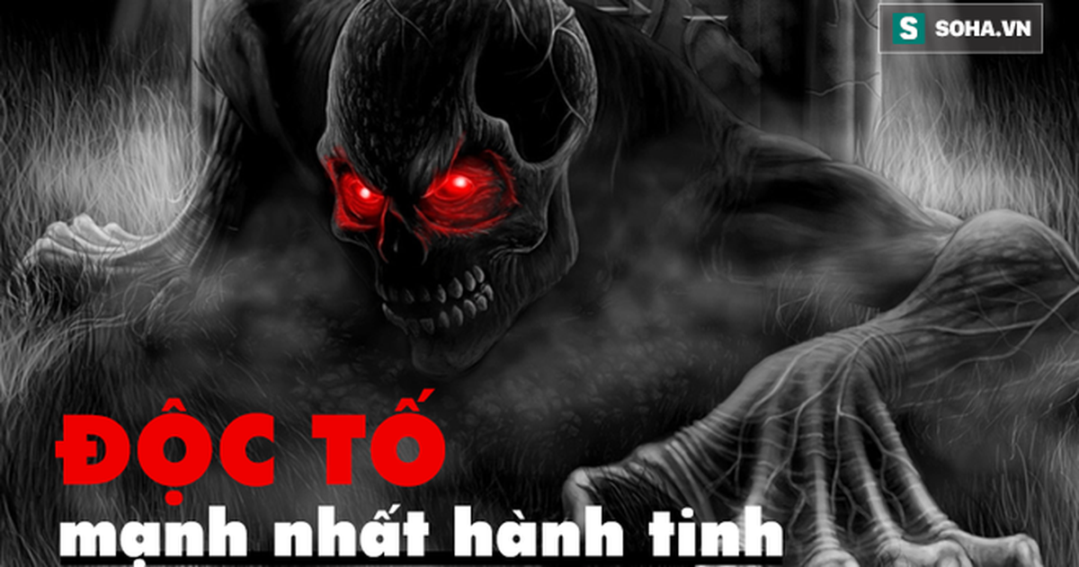 f09ce5ac0c6ed3309788.png