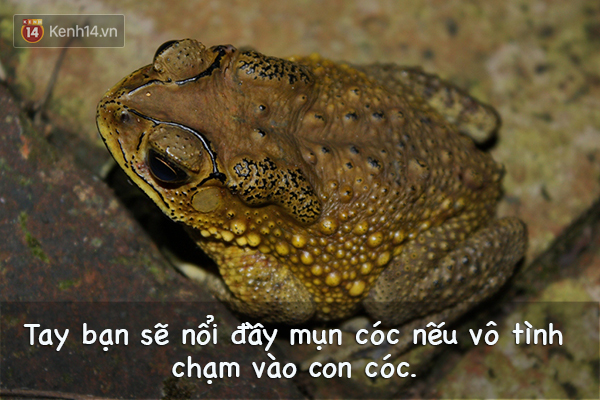 f0a1196f7ae0bf4ef389.jpg