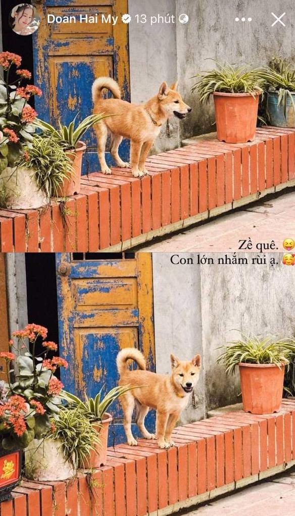 f0b8b8b38c8e7f9b089c.jpg