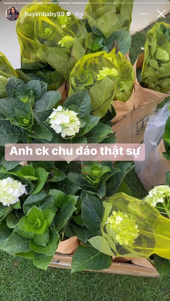 f0fcda23cbdf8bd32d47.jpg