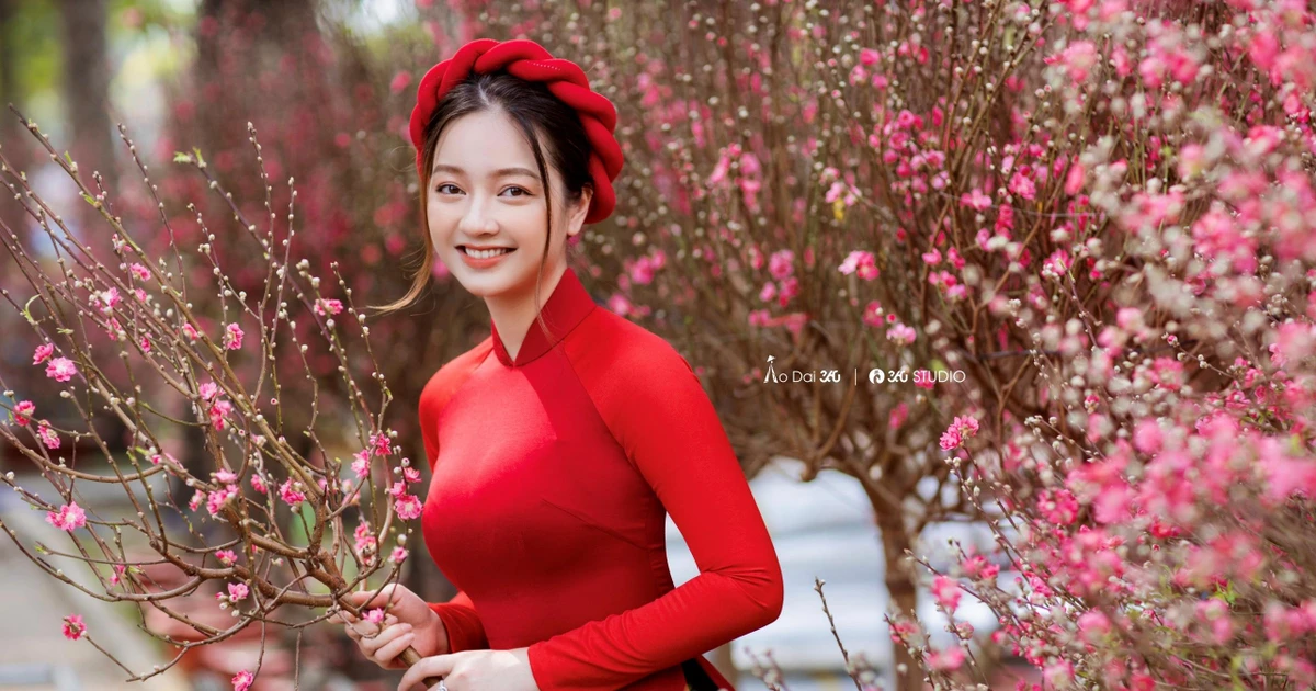 f1124c525a2c0b1fb153.webp