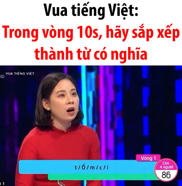 f11559db4e8d7c19da9a.jpg