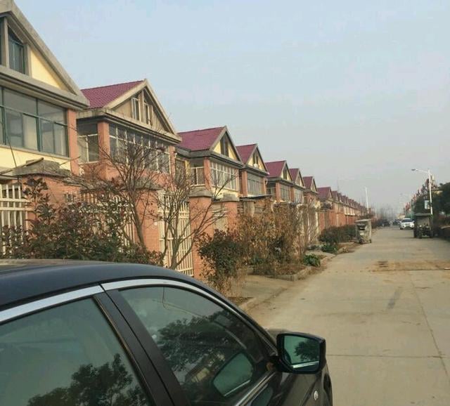 f11a4a685e5012d13787.jpg