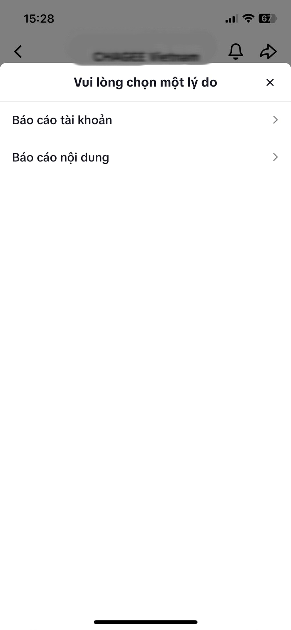 f136edd78ba64500f9b0.jpg