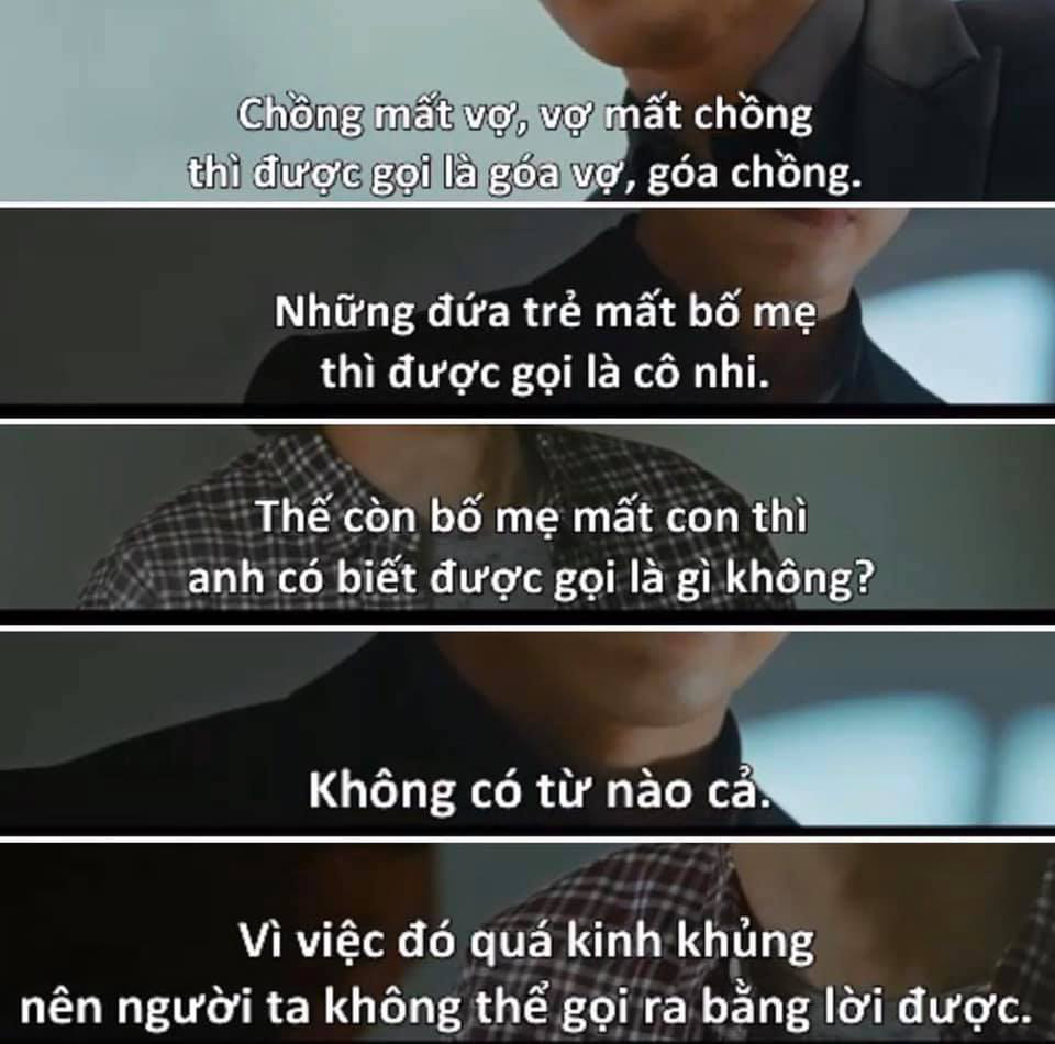 f13d1e387b7f38dc861f.jpg