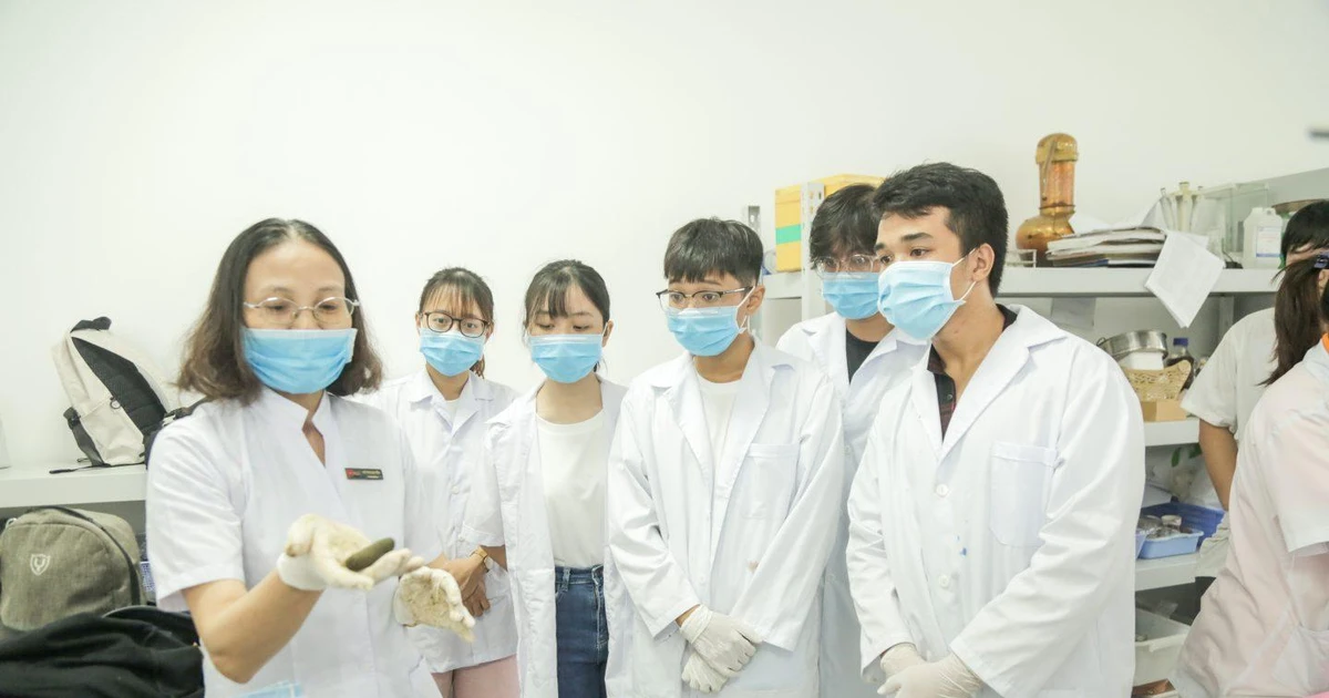 ĐH Văn Lang thả thính điểm chuẩn xét học bạ đợt 4 và mở đơn đợt 5 nè! ✨
