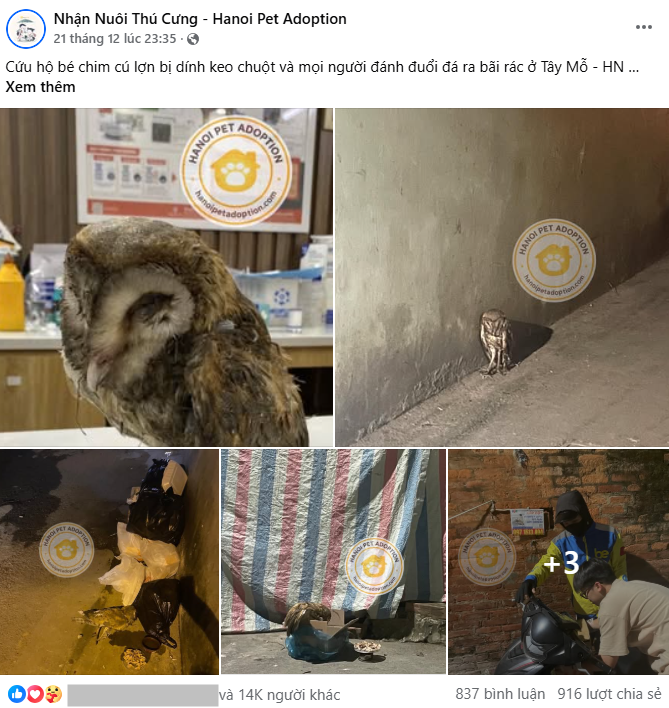 f15f384a8743f1331509.png