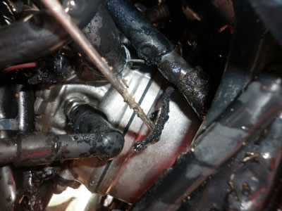 f16821e4a20f2feb94b1.jpg