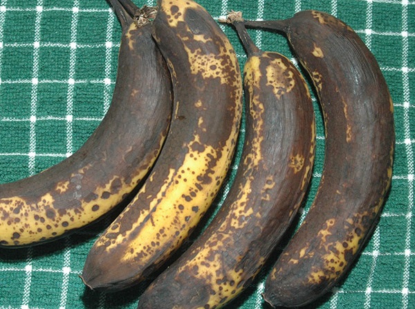 f18ac6567215b0eab2dd.jpg